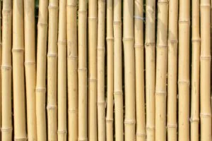 texture 4429738 1280